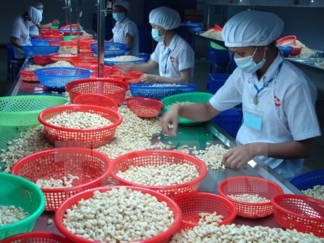 ການຄ້າ2ສົ້ນການາດາ-ຫວຽດນາມເພີ່ມແຮງໃນ9ເດືອນຕົ້ນປີ2015