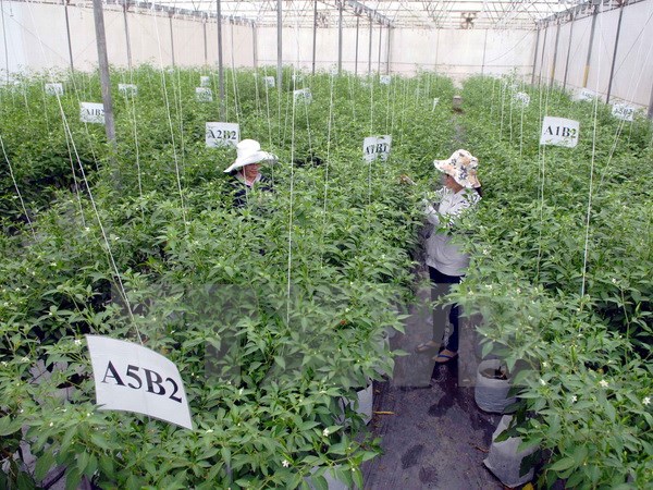 В Ханое прошел вьетнамо-японский бизнес-форум в области сельского хозяйства