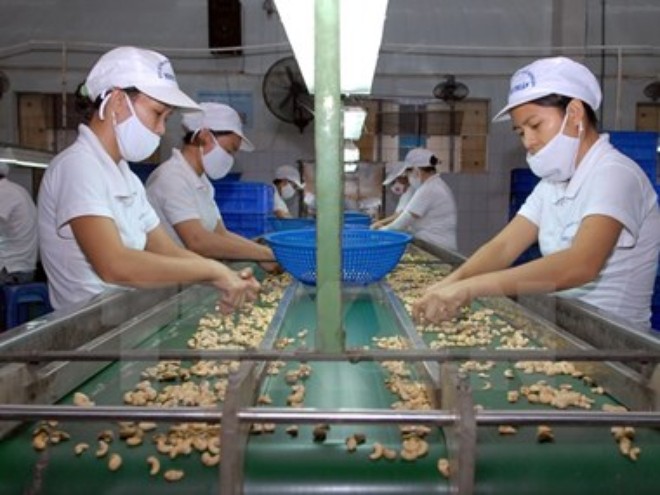 Сотрудничество между Вьетнамом и Италией в таможенной сфере