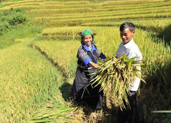 Чествованы молодые представители нацменьшинств и верующих, преуспевающие в ведении бизнеса