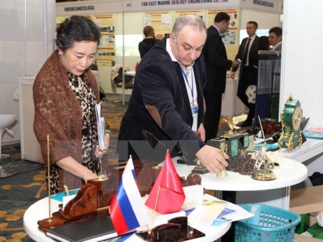 В Ханое проходит 1-я российско-вьетнамская промышленная выставка «Expo-Russia Vietnam 2015»