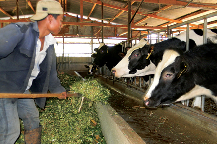 Вьетнам достигнет значительного экономического роста благодаря Соглашению о ТТП