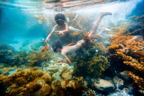 В Ханое открылась фотовыставка «Родина тех, кто охранял острова Хоангша»