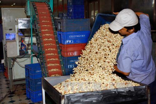 Наблюдаются положительные результаты во вьетнамском экспорте