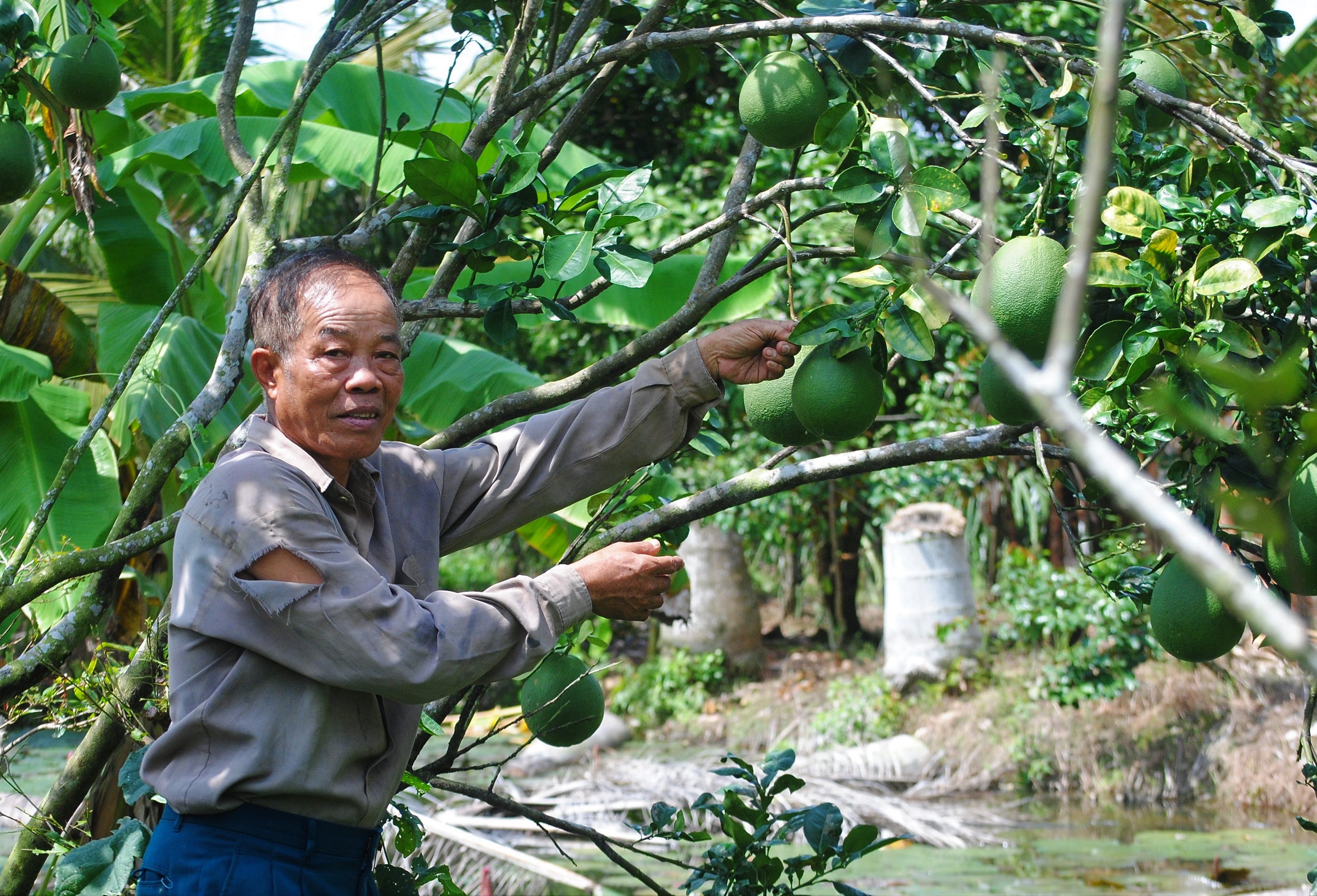 Ба Льем – член партии с множеством инновационных идей в сфере труда и производства