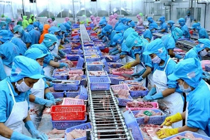 Объём экспорта рыбной продукции составил почти 2,4 миллиарда долларов