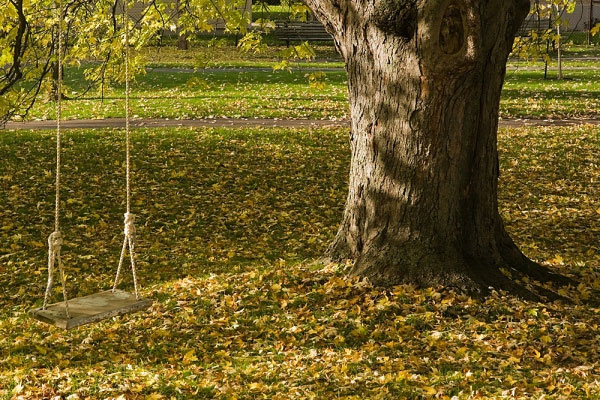 เพลง"Nhớ em"หรือแปลว่า "คิดถึงเธอ"