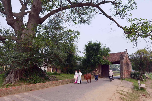 ยูเนสโกมอบรางวัลการอนุรักษ์มรดกวัฒนธรรมปี๒๐๑๓ให้แก่โครงการอนุรักษ์บ้านโบราณในหมู่บ้านโบราณเดื่องเลิม