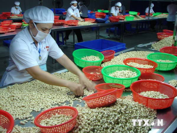 อาเซียนผลักดันกิจกรรมการตรวจสอบแรงงาน