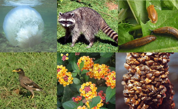 อาเซียนมอบรางวัลความหลากหลายทางชีวภาพปี๒๐๑๔