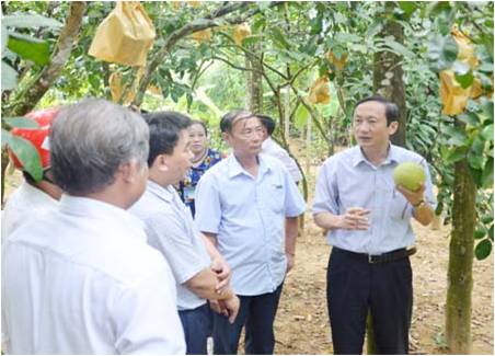 รูปแบบการเชื่อมโยงห่วงโซ่และเพิ่มมูลค่าการผลิตการเกษตรในจังหวัดห่าติ๋ง