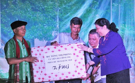 รองประธานประเทศต่องถิฟ้องเยือนจังหวัดเหงะอาน