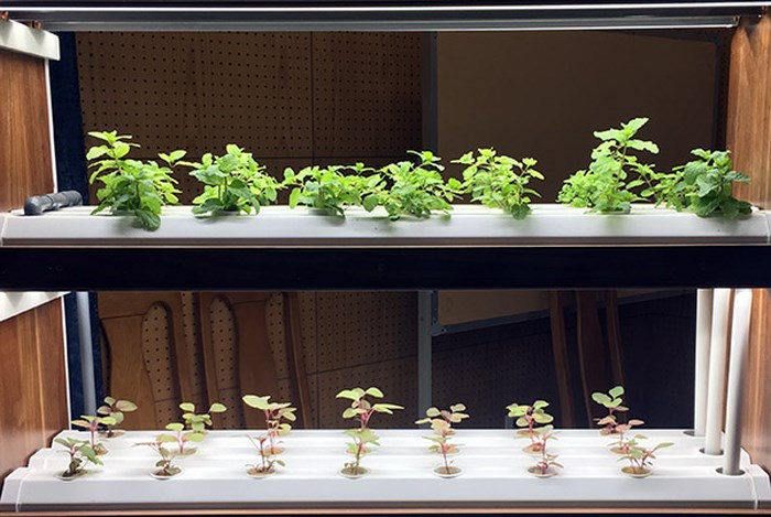 ผลักดันการประยุกต์ใช้เทคโนโลยีขั้นสูงในการผลิตการเกษตร