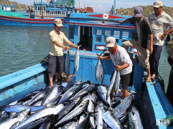 รัฐบาลอนุมัตินโยบายพัฒนาอาชีพประมงในเขตทะเลสากล