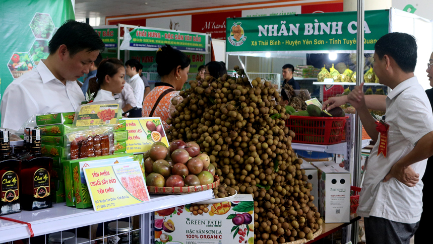 ท้องถิ่นต่างๆผลักดันการปฏิบัติมติ01ของรัฐบาล