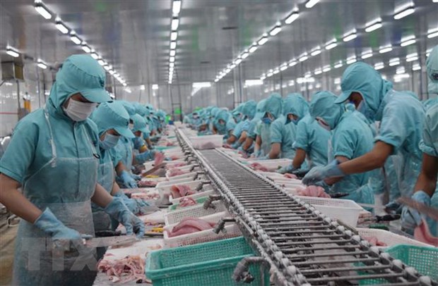 ขยายตลาดภายในประเทศสำหรับปลาสวายเพื่อมุ่งสู่การพัฒนาอย่างยั่งยืน