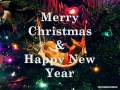 We wish you a Merry Christmas
