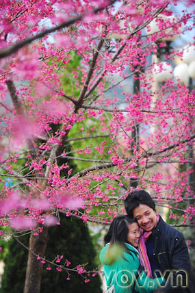 รายการ วสันต์ในบ้านเกิด 2012 จะมีขึ้น ณ กรุงฮานอยในวันที่ 15มกราคมนี้