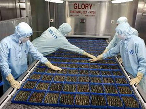 สหรัฐยากที่จะจัดเก็บภาษีป้องกันการคุ้มครองราคากุ้งแช่แข็งของเวียดนาม