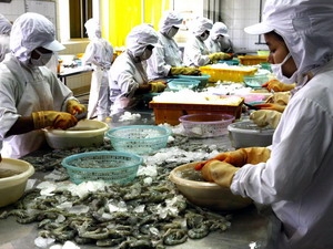 เวียดนามเรียกร้องให้จัดตั้งคณะกรรมการพิจารณาการแก้ไขกรณีฟ้องร้องเรื่องกุ้งกับสหรัฐ ณ WTO