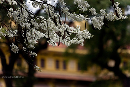 จดหมายจากผู้ฟังในสัปดาห์