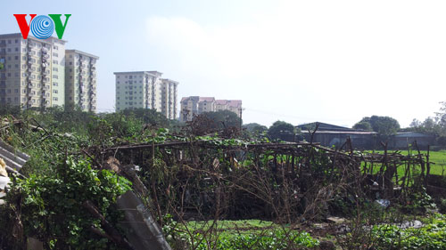 ผลักดันการใช้ทรัพยากรที่ดินอย่างมีประสิทธิภาพ