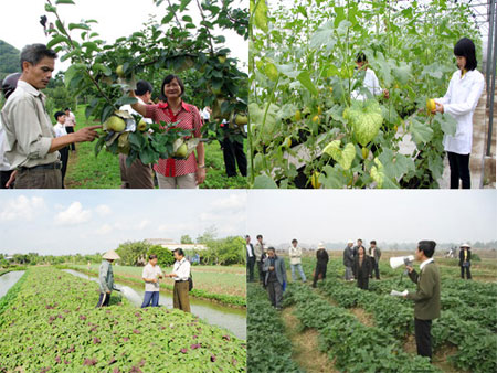 ผลงานด้านการแก้ปัญหาความยากจน-ความสำเร็จที่น่าภาคภูมิใจ
