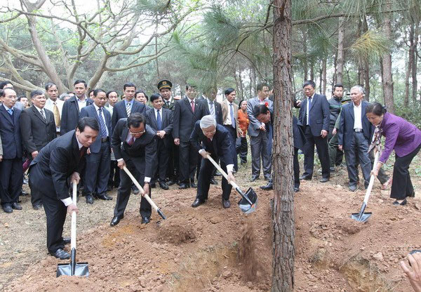 ท้องถิ่นต่างๆทั่วประเทศเปิดเทศกาลปลูกต้นไม้ตรุษเต๊ตปีมะเมีย