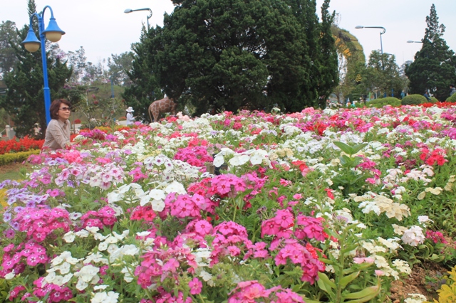 ประชาสัมพันธ์ภาพลักษณ์ของเมืองแห่งบุพชาติ