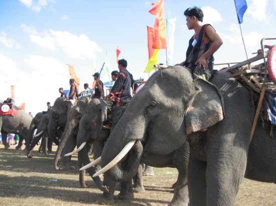 อาชีพคล้องช้างป่าของชาวเมอนง