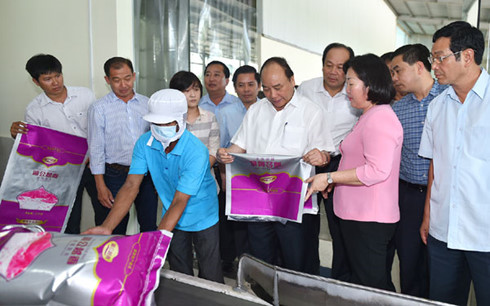 จังหวัดซ๊อกจังต้องส่งเสริมจุดแข็งด้านการผลิตเกษตรเพื่อการพัฒนา