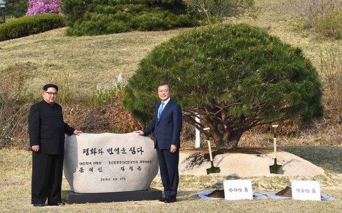 เวียดนามแสดงความยินดีต่อความพยายามของสองภาคเกาหลีในการพบปะสุดยอด