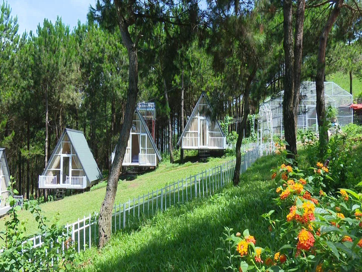 Pu Nhi Farm - แหล่งท่องเที่ยวที่ควรแวะเยือนบนเส้นทางท่องเที่ยวภาคตะวันตกเฉียงเหนือ