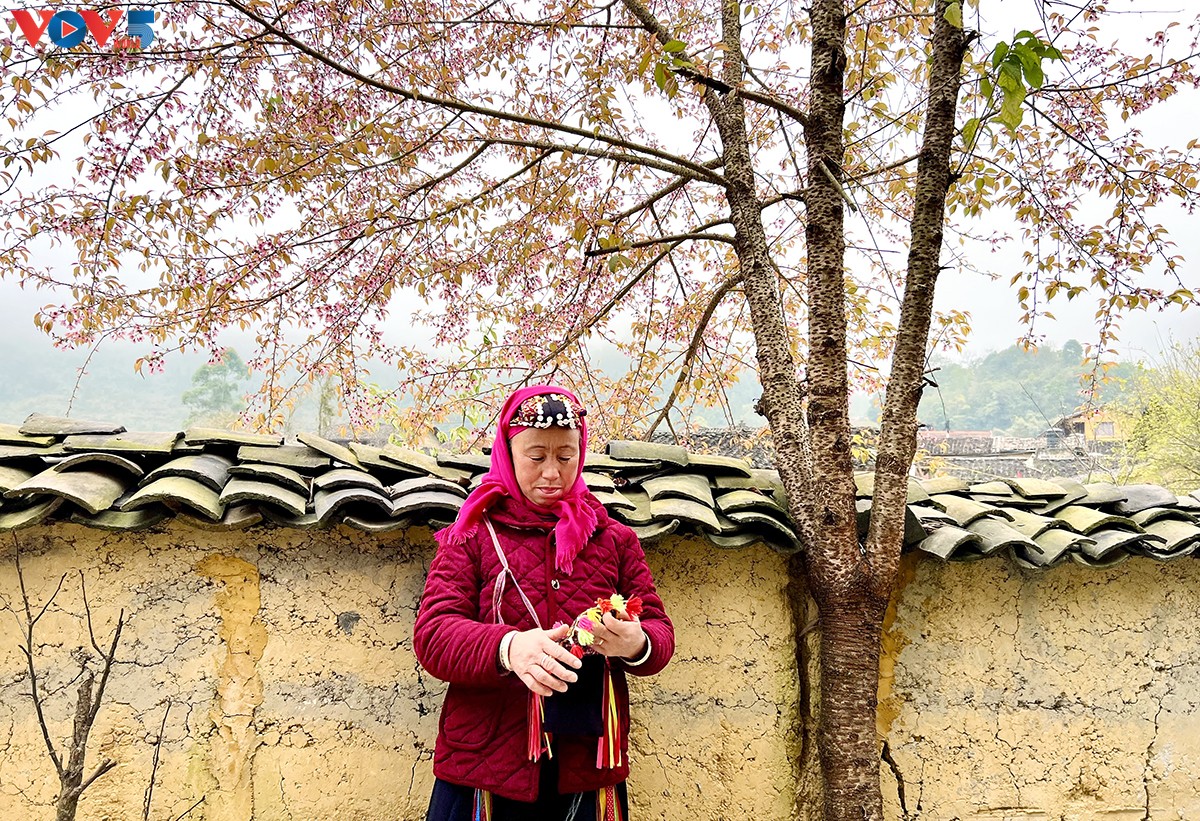 ดอกท้อสีชมพู เติมแต่งความงามให้แก่หมู่บ้านในเขตเขาสูง