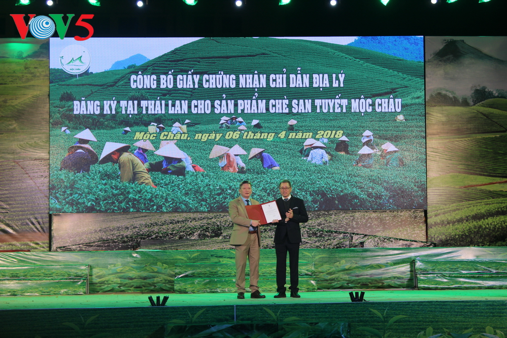 제3차 Moc Chau고원차 대회 개막