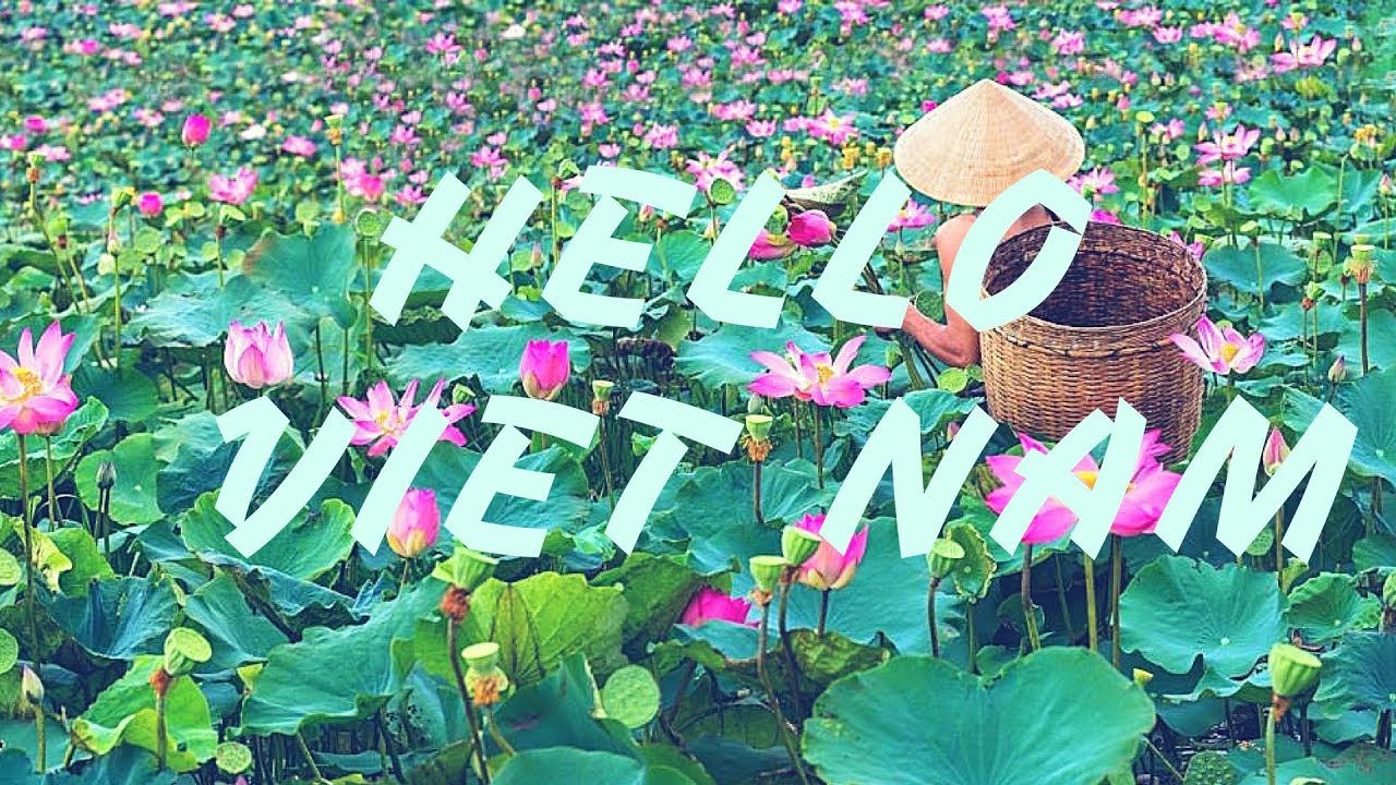 베트남 안녕 - Hello Vietnam