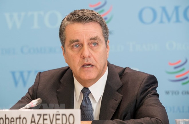 WTO, 보호주의가 세계 경제에 미치는 영향 경고