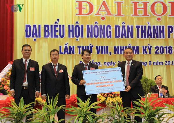 다낭 시, 첨단기술 응용 무농약 채소 과일 생산 모형 구축 지원