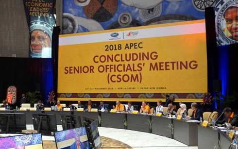 APEC 정상회담 총괄회의, 2018년 정상회담 주간 준비