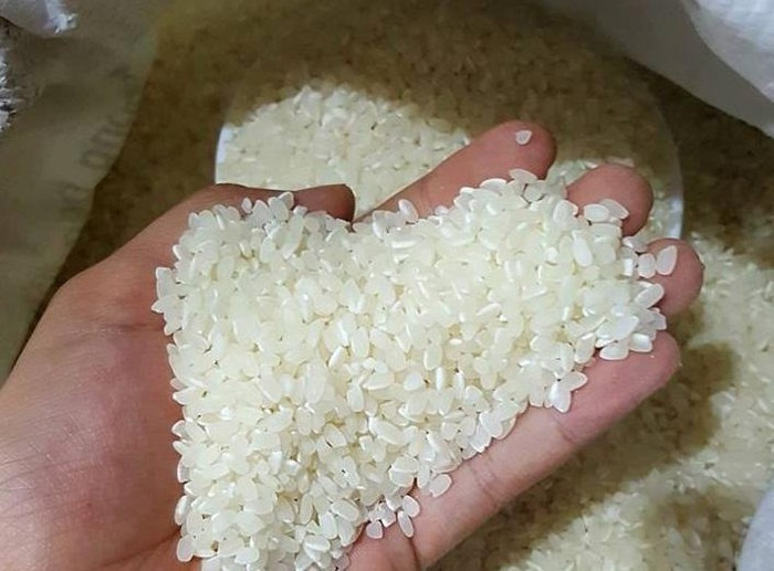 메콩 델타 지역 쌀 생산 소비 촉진 회의