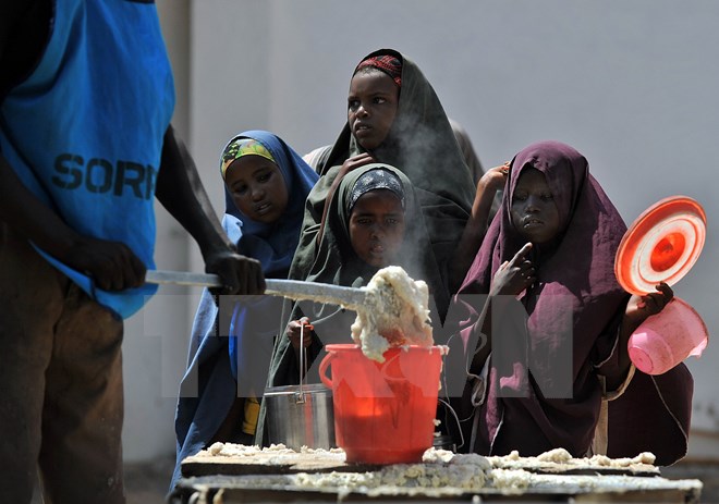 ВТО и ФАО активизируют сотрудничество в сферах торговли и продовольственной безопасности