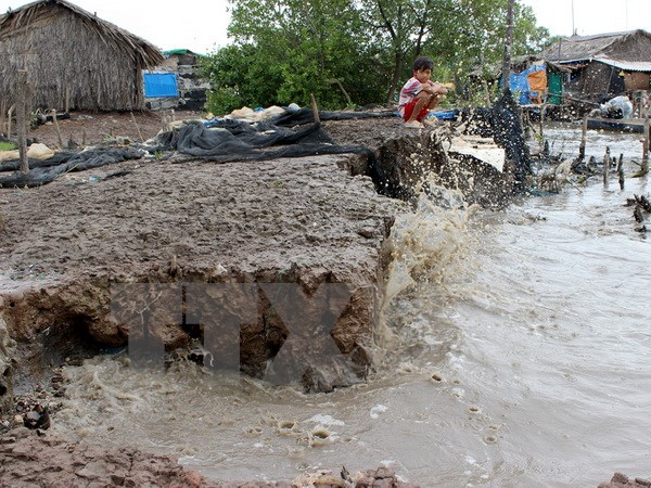 В Ханое состоялся семинар "Позиция стран мира об энергии и изменении климата"