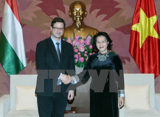Спикер вьетнамского парламента приняла зампреда Национального собрания Венгрии