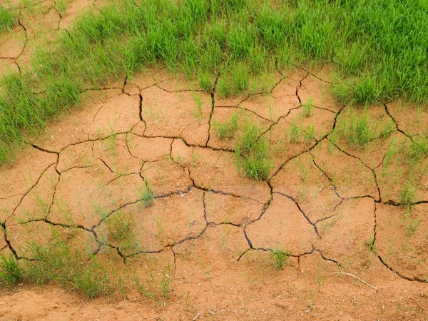 Реализовано Парижское соглашение по климату в центральной части Вьетнама и на плато Тэйнгуен