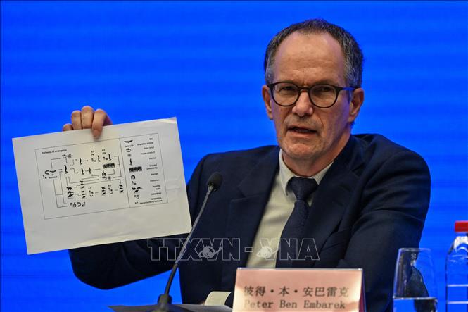 ВОЗ  не будет публиковать промежуточный отчет о поездке в Ухань в ближайшие недели