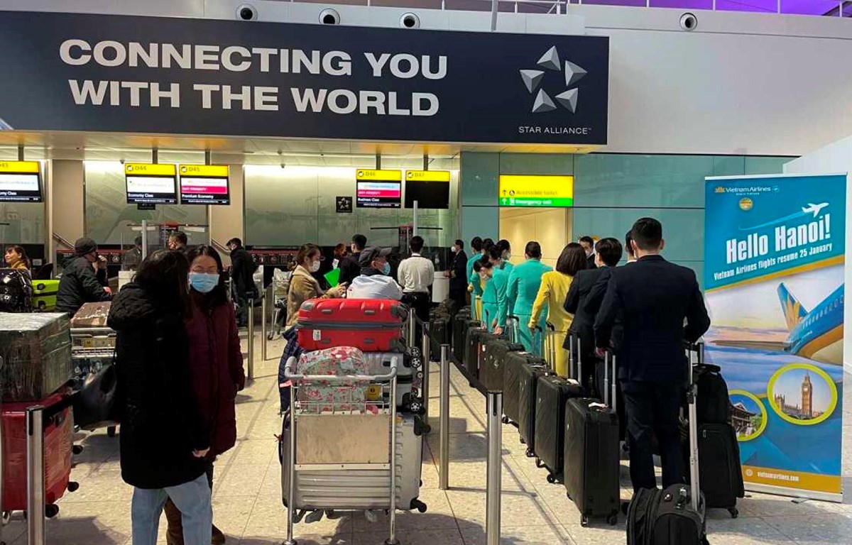 Авиакомпания Vietnam Airlines возобновила регулярные рейсы между Европой и Вьетнамом