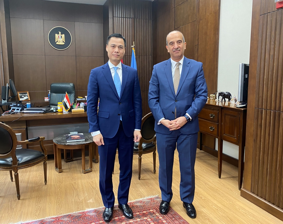 Вьетнам и Египет активизируют сотрудничество в решении международных вопросов, представляющих взаимный интерес