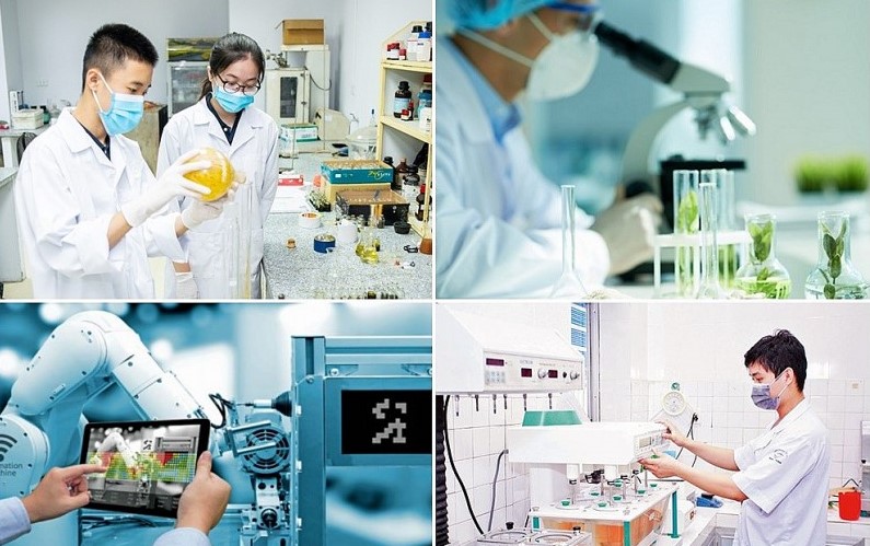 Послание и видение Вьетнама в области инноваций