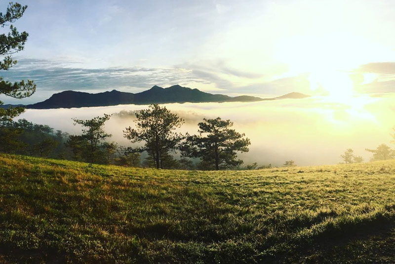 Ha Noi에서 Tay Nguyen홍보