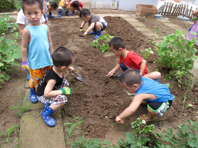 녹색 행복 프로그램